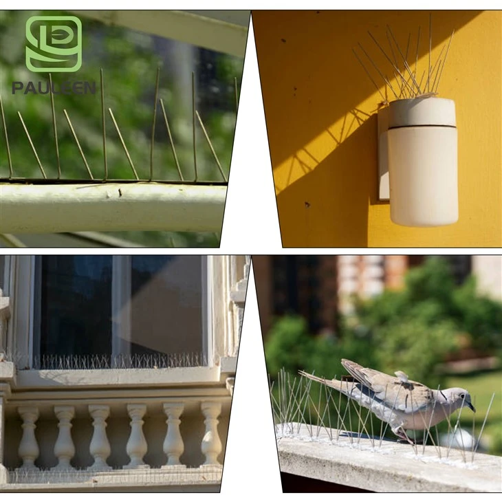 Bird Spikes With Adhesive